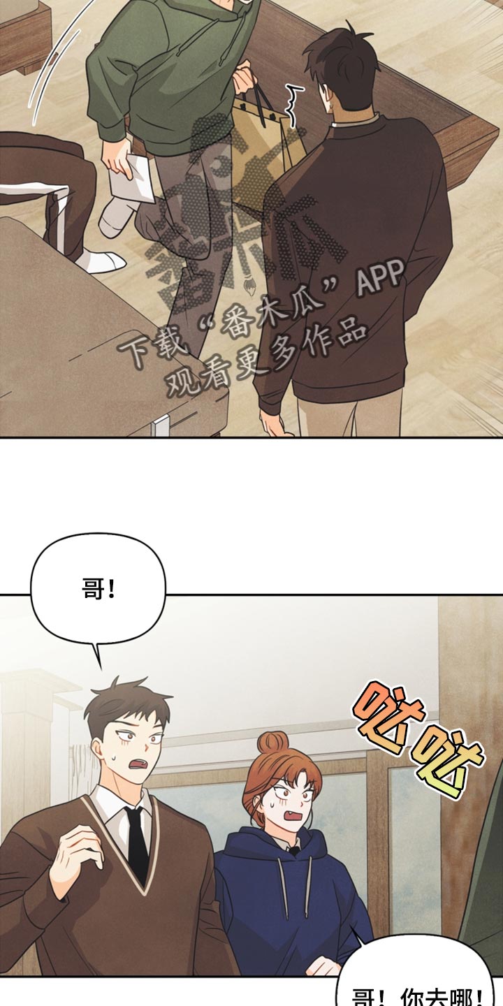 第48章：支持20