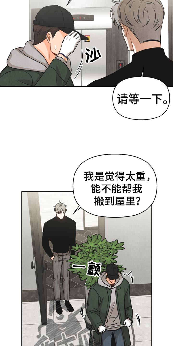 第38章：反语19