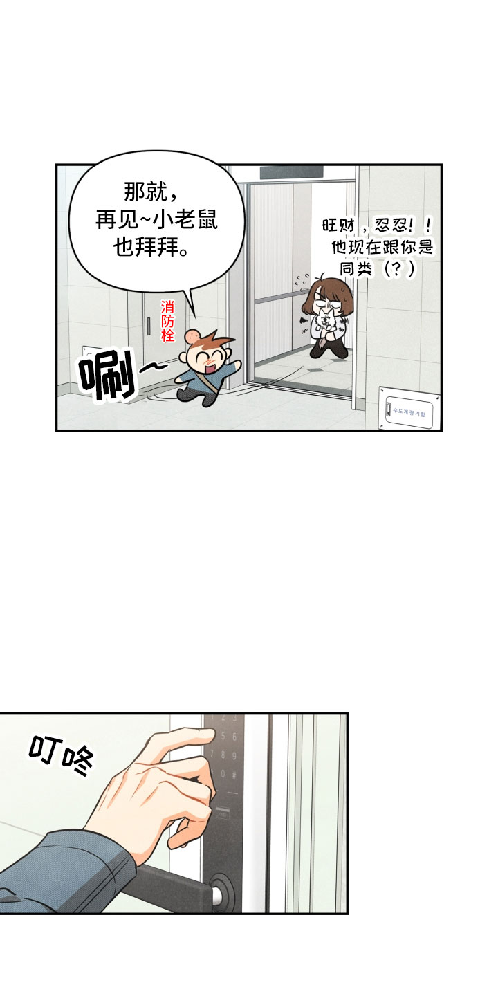 第1章：告白11