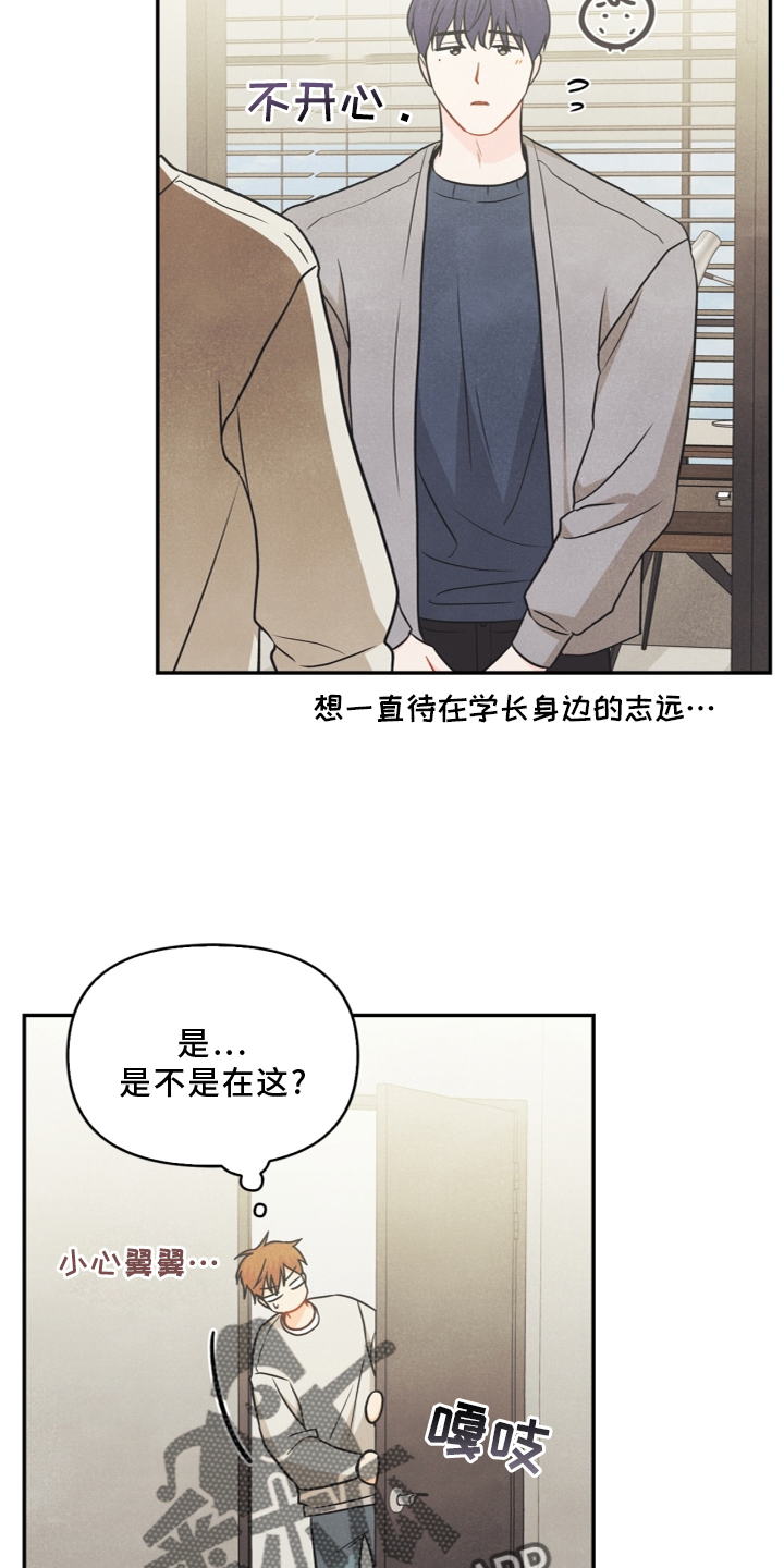 第95章：【番外】哥哥17