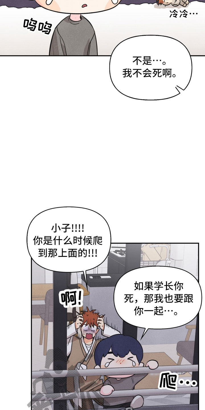 第17章：进化22