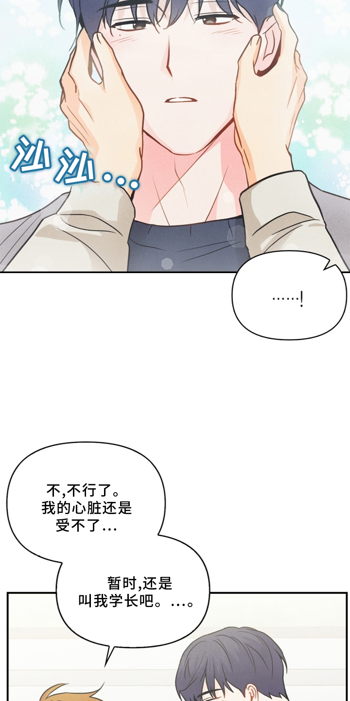 第96章：【番外】幸福23