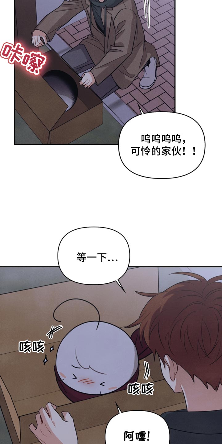 第53章：傻瓜4