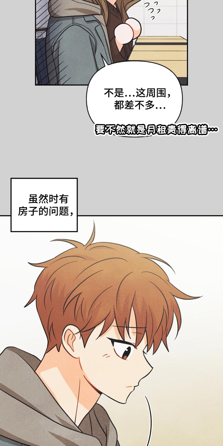 第41章：转机18