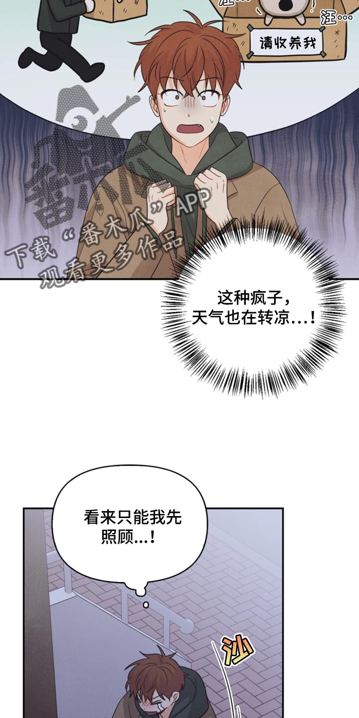 第53章：傻瓜3