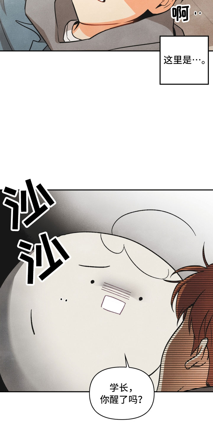 第3章：奇怪的布偶20
