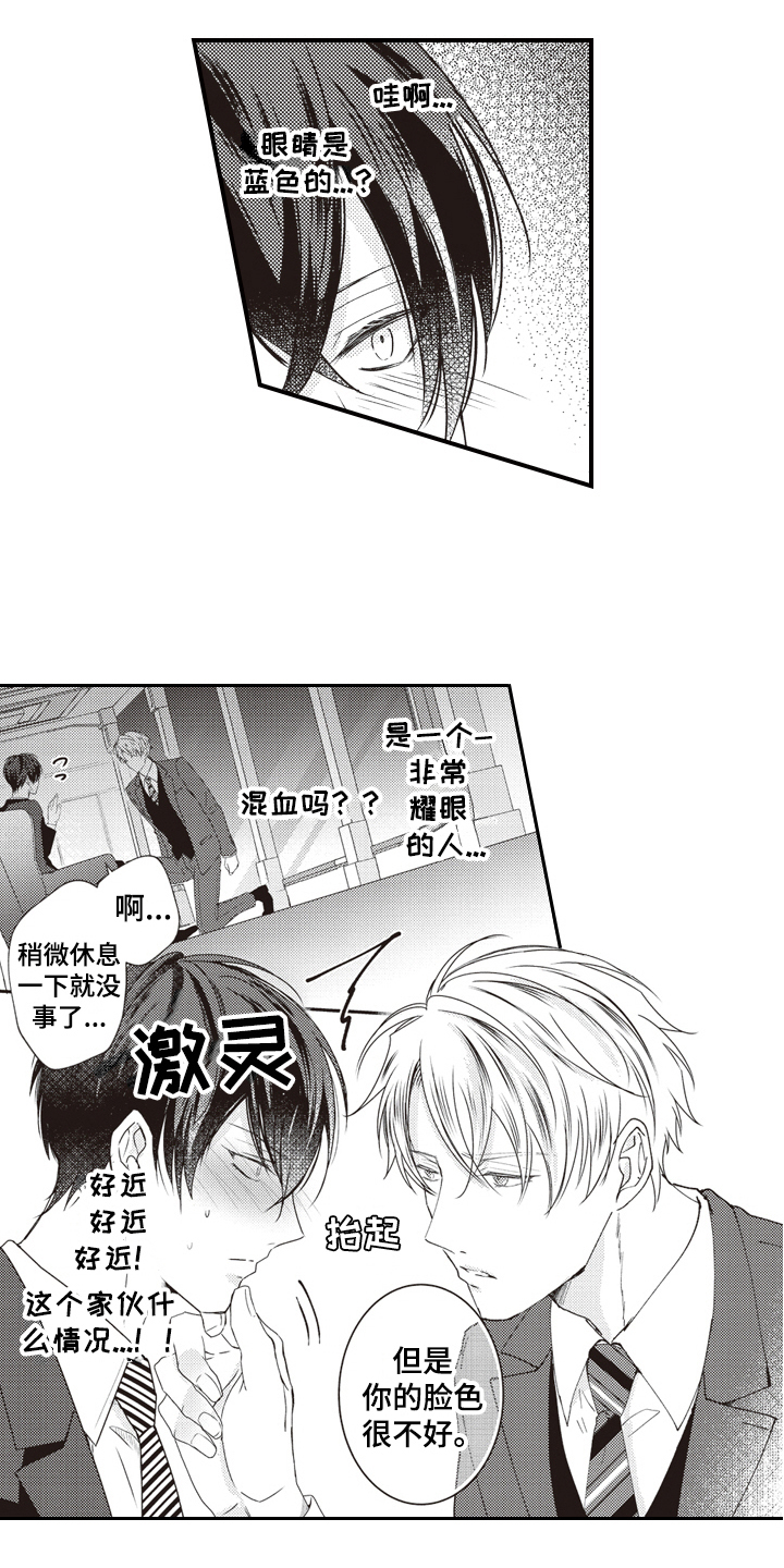 第1章：耀眼12