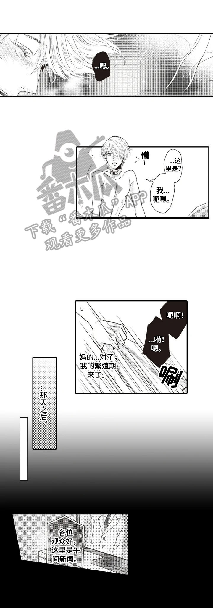 第4章：安排0
