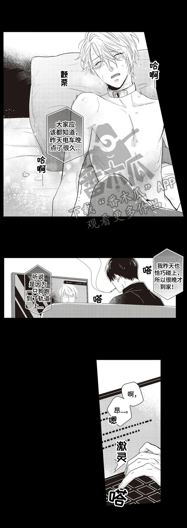 第4章：安排1