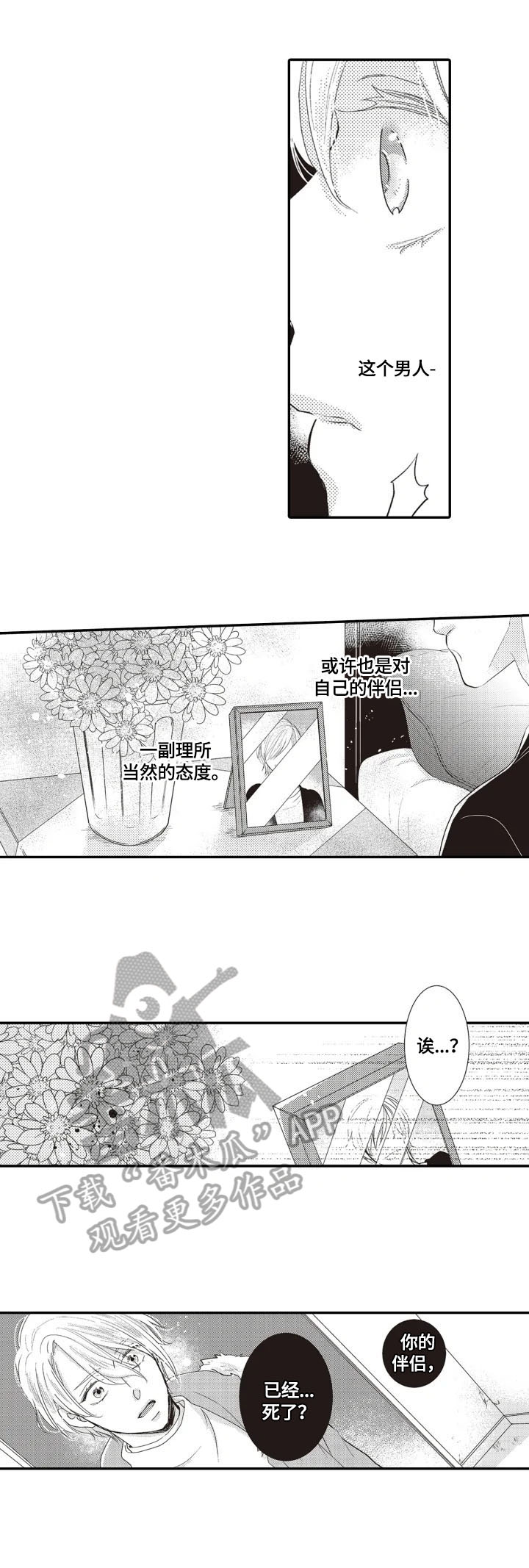 第5章：印象4