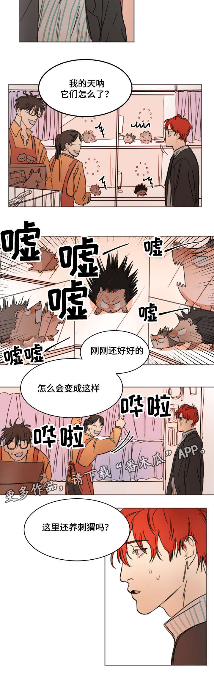 第7章：刺猬5