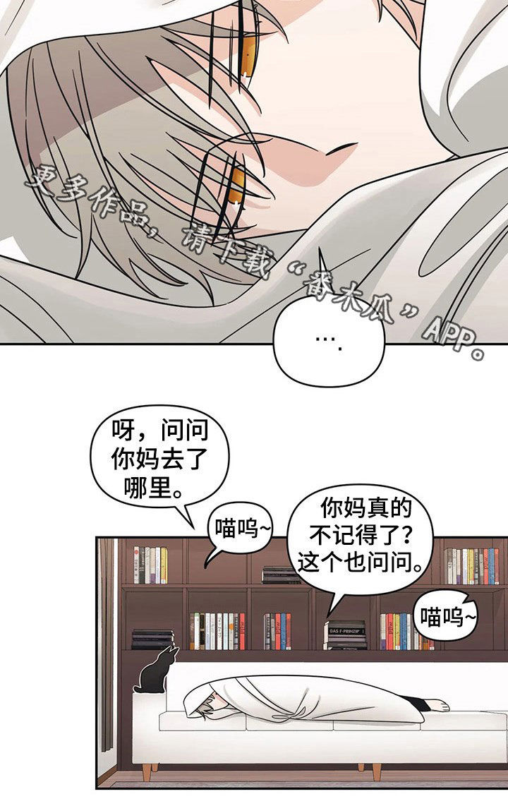 第26章：招待17