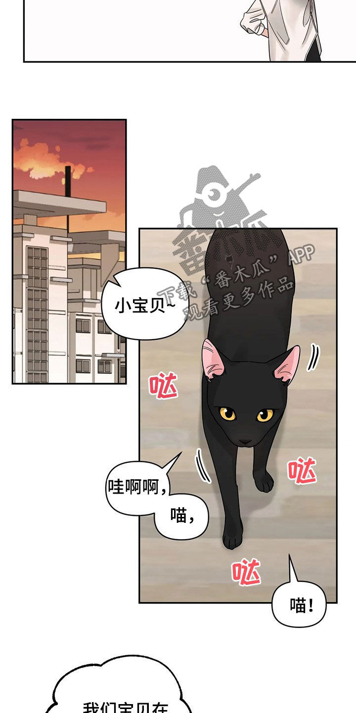 第27章：又开始了12