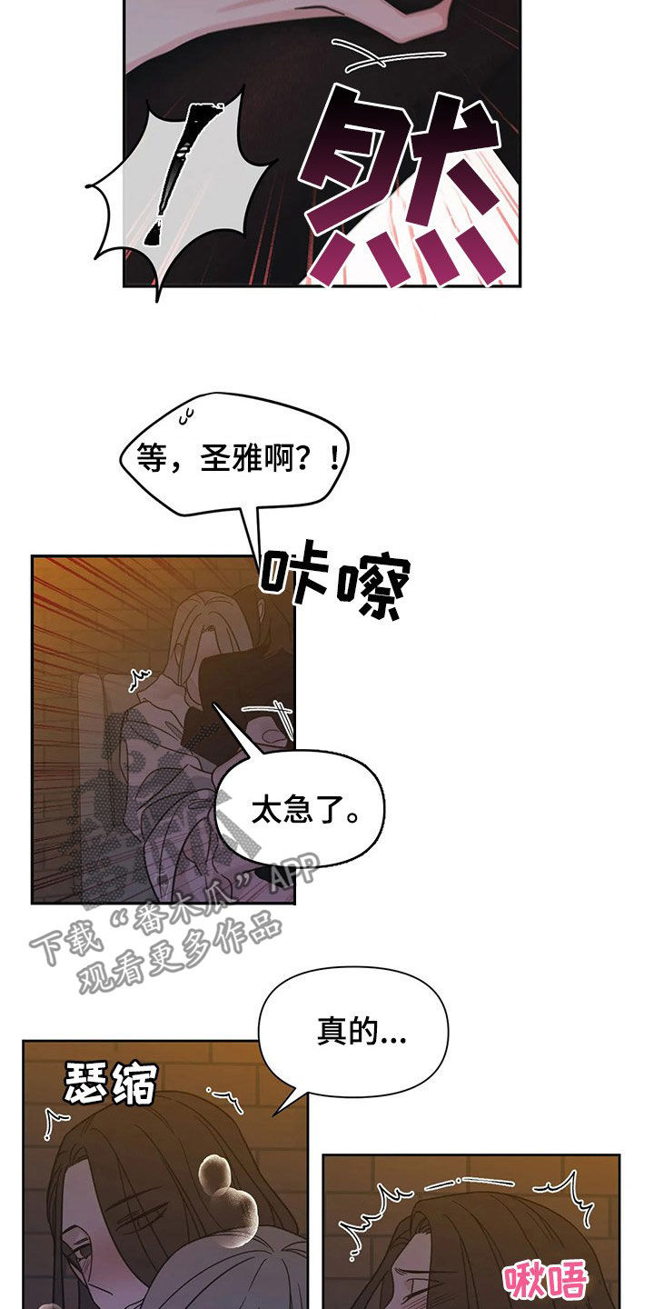 第18章：保护者14
