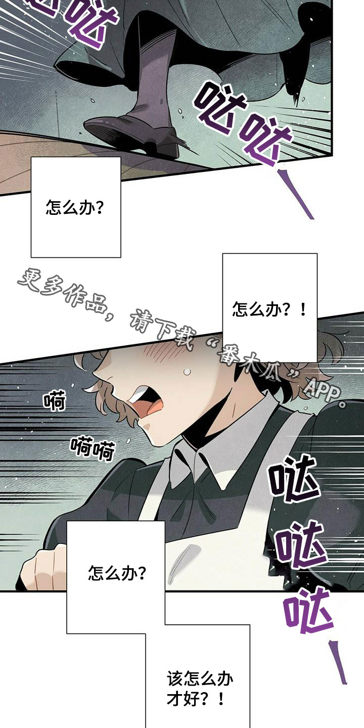 第50章：菜鸟老板17