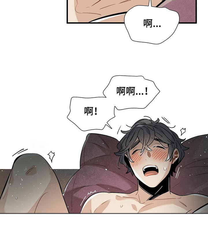 第66章：一晚上19