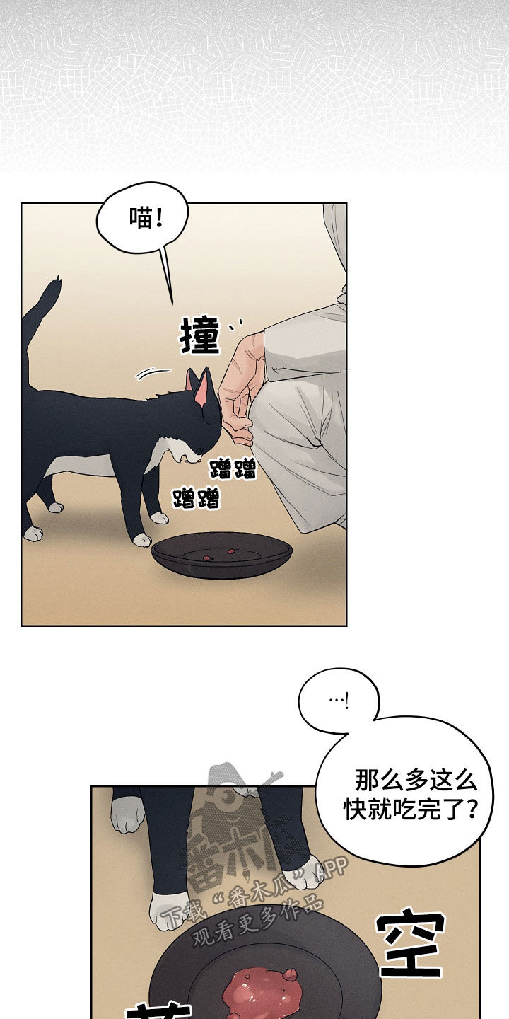 第29章：期待11