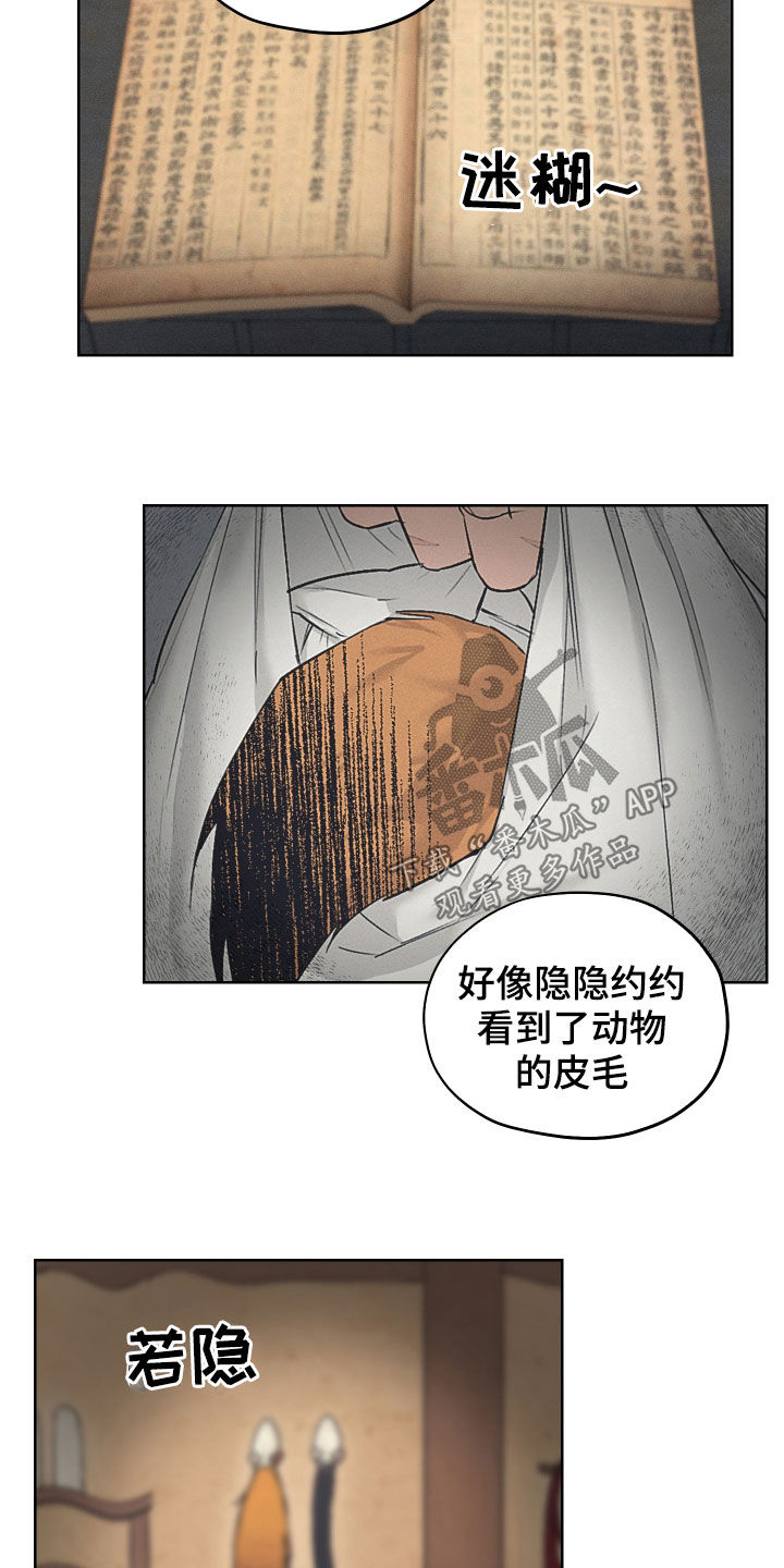 第29章：期待17