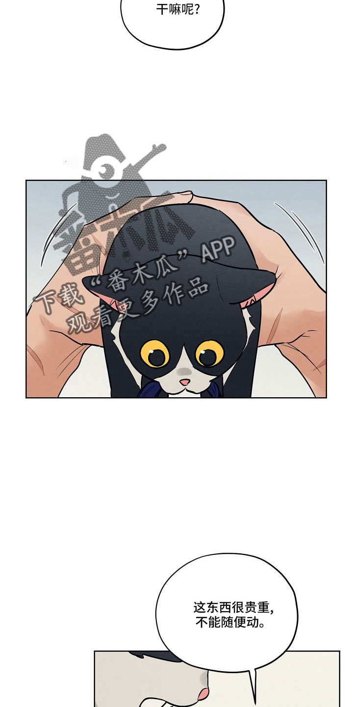 第48章：请多关照26