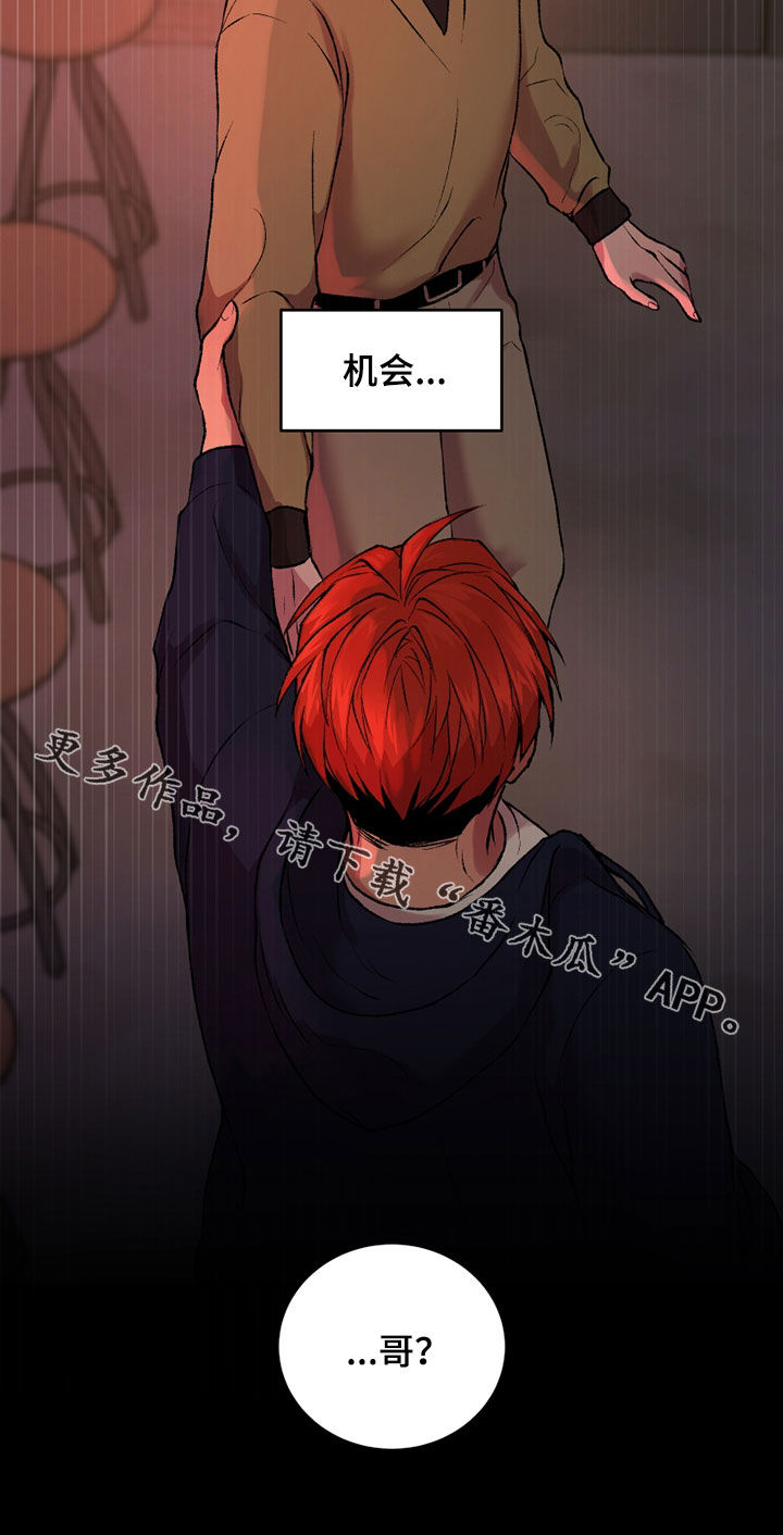 第29章：机会30