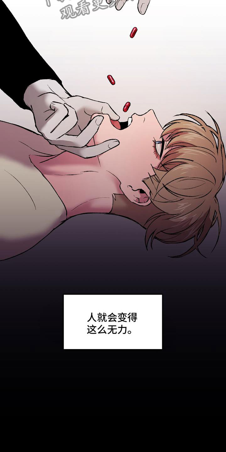 第10章：真假28