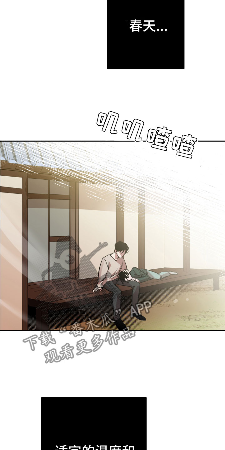 第8章：悲剧13