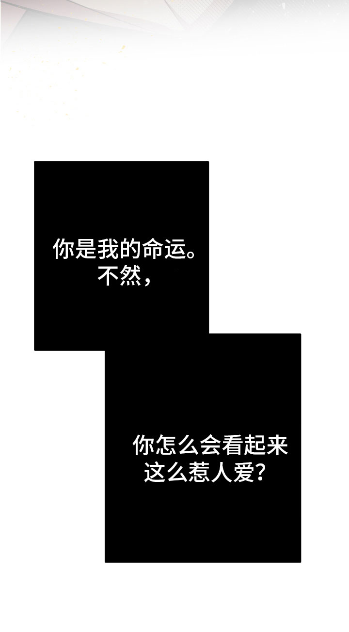 第3章：巨债29