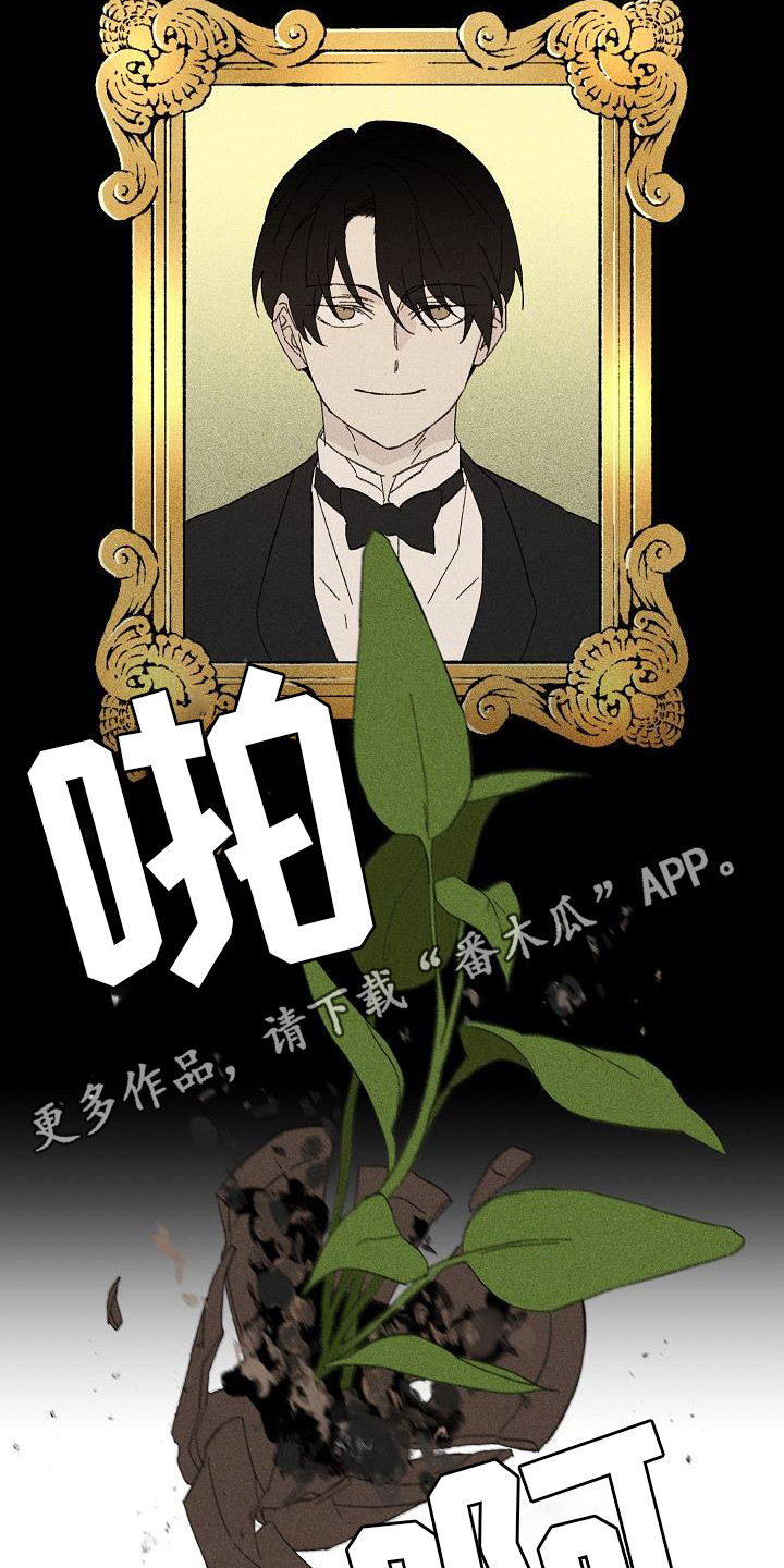 第23章：花木有情：养植物10