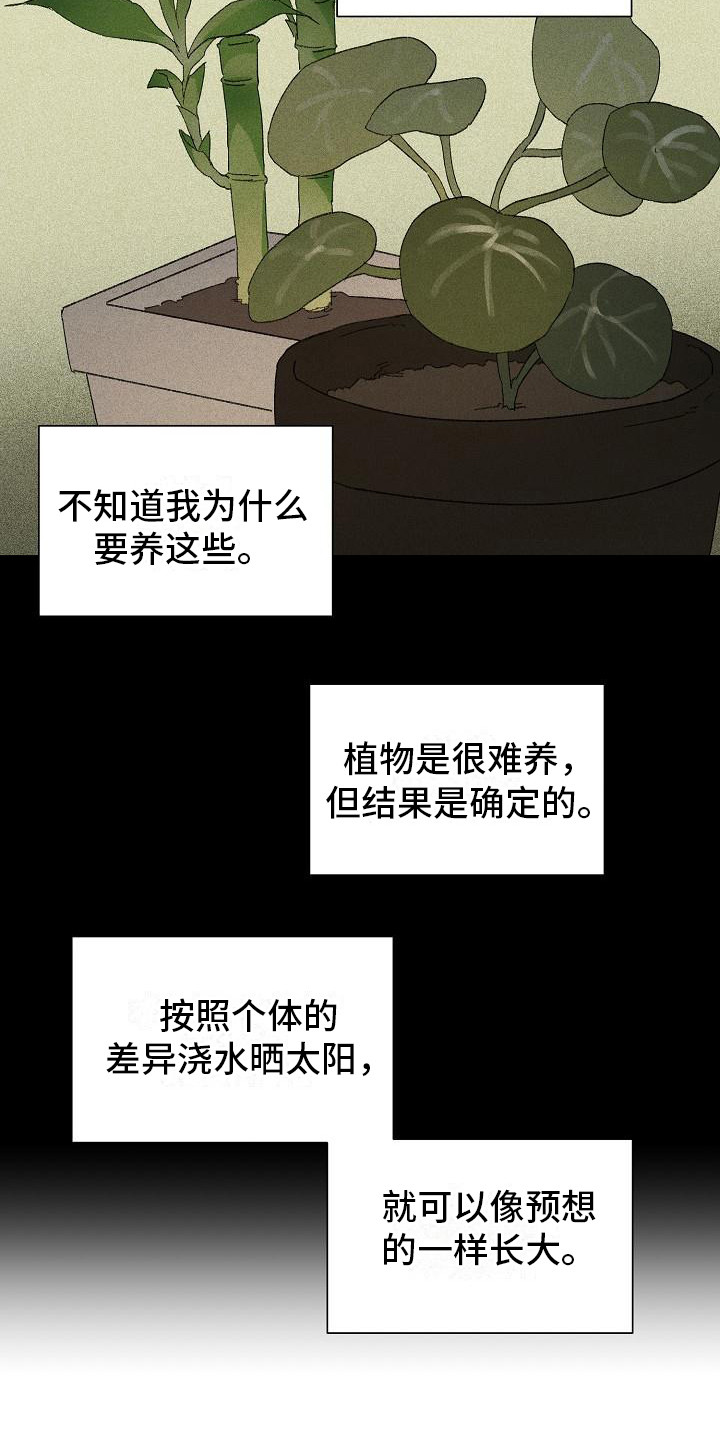 第23章：花木有情：养植物3