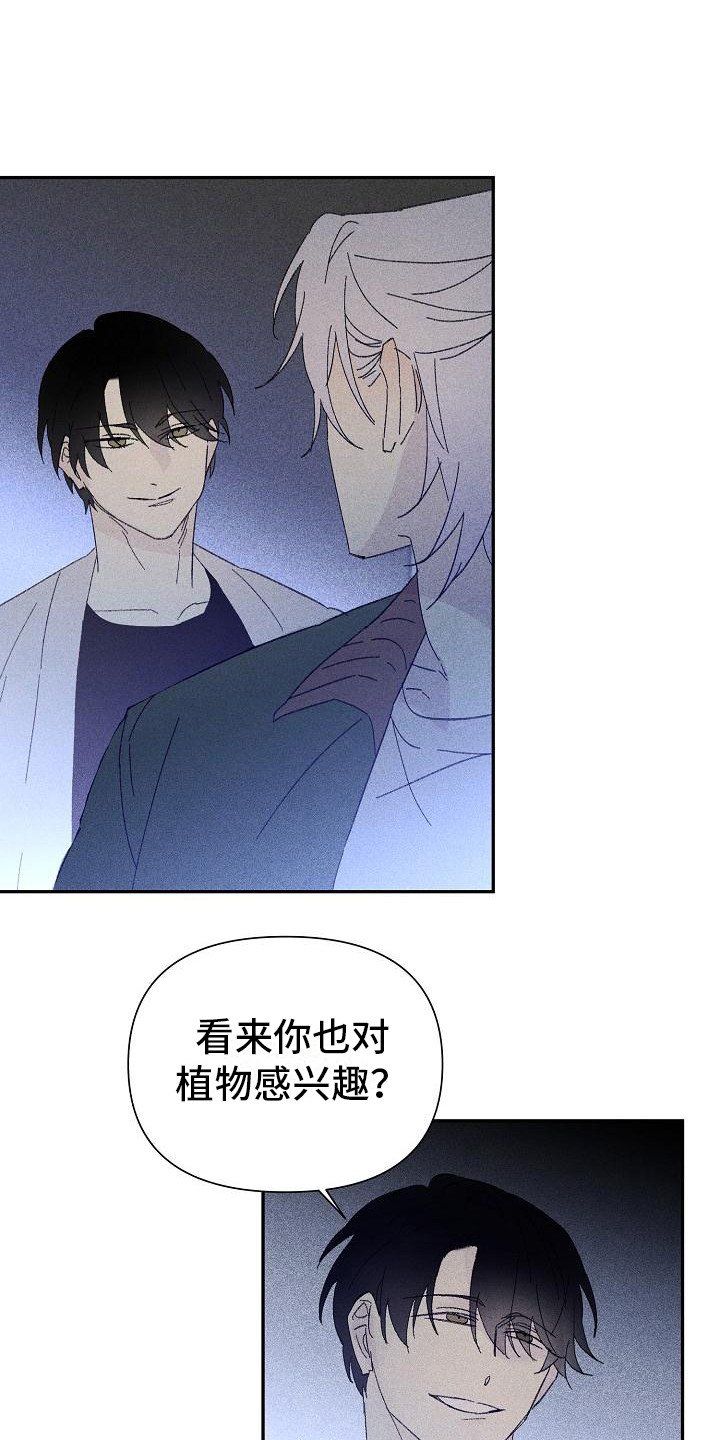 第22章：花木有情：挑衅6