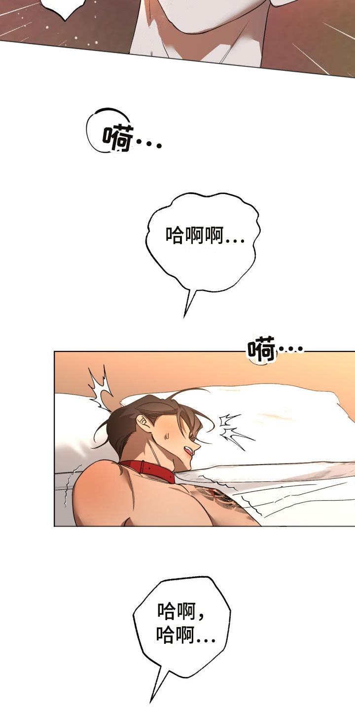 第9章：别惹我：忘记我18