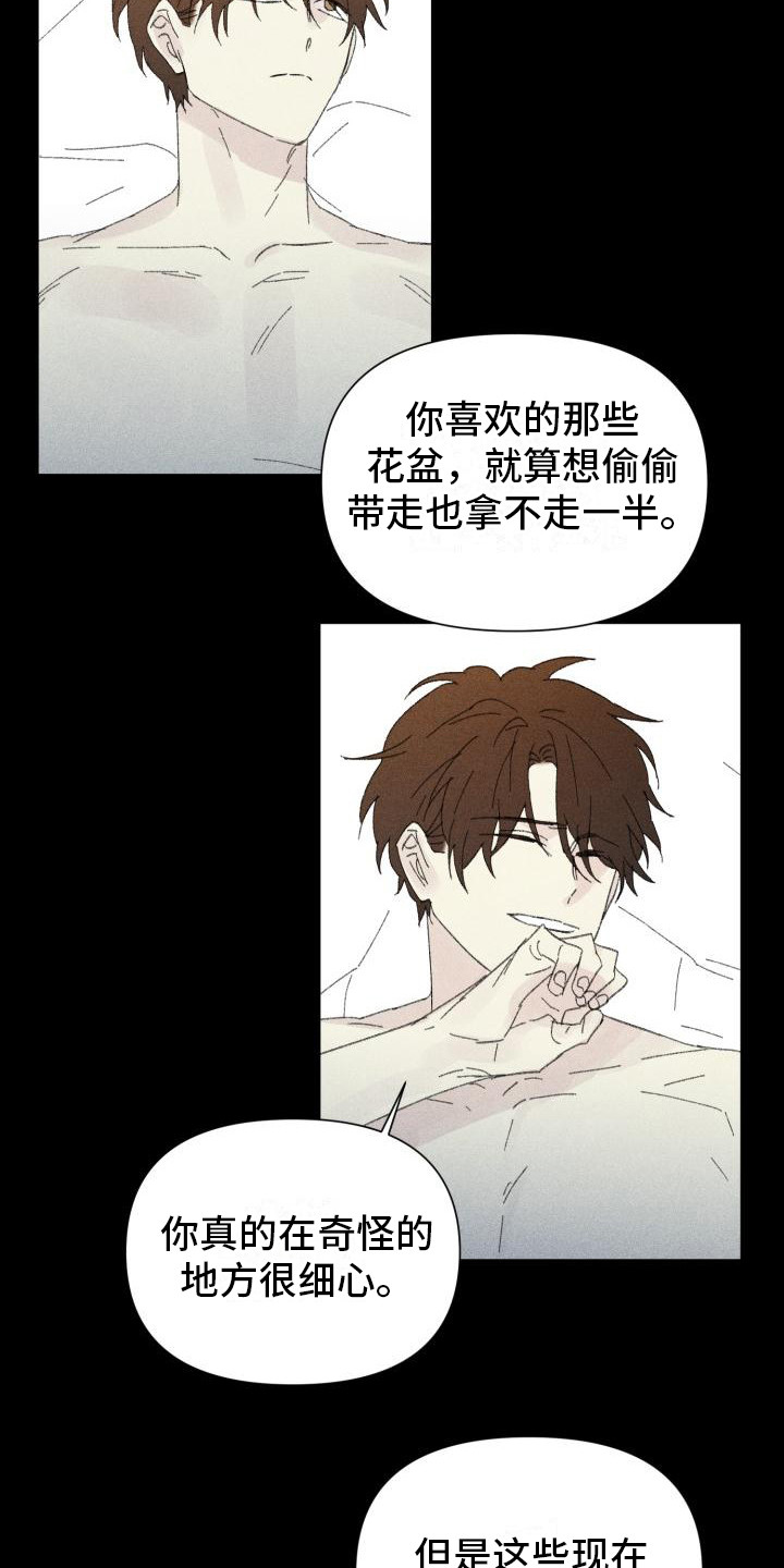 第28章：花木有情：卸下面具【完】19