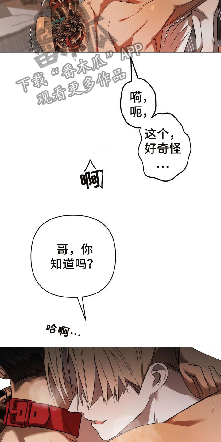 第12章：别惹我：不用伪装8