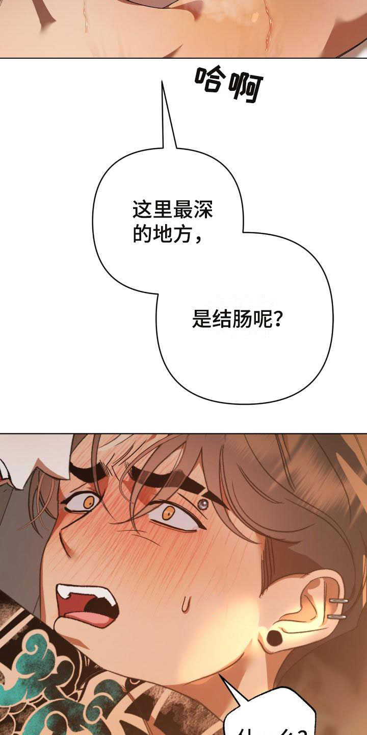 第12章：别惹我：不用伪装9