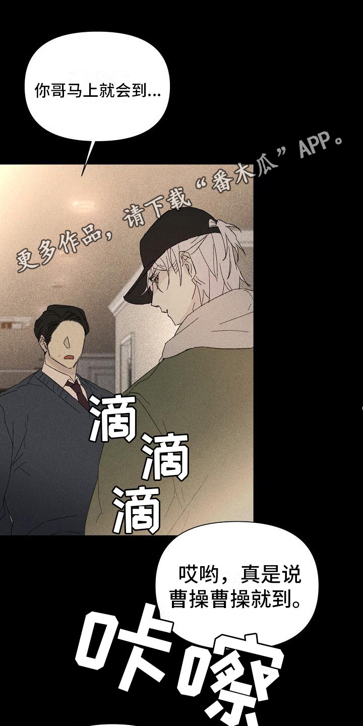 第21章：花木有情：陌生兄弟10