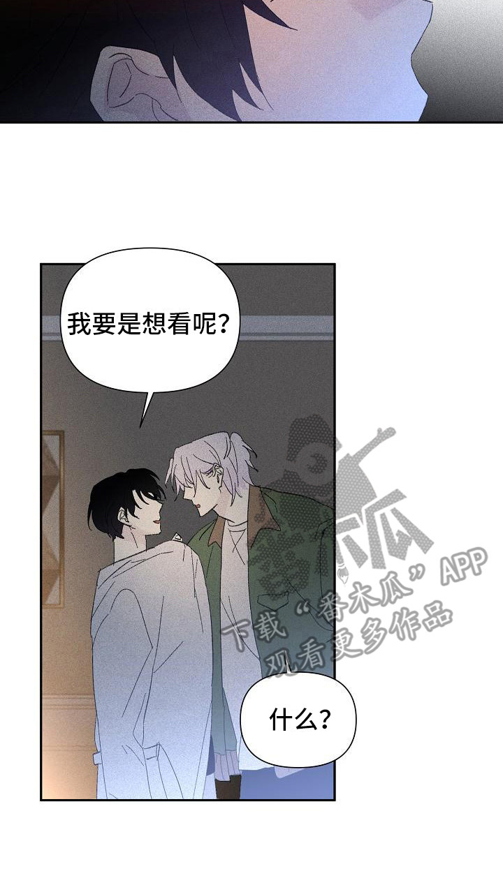 第22章：花木有情：挑衅13
