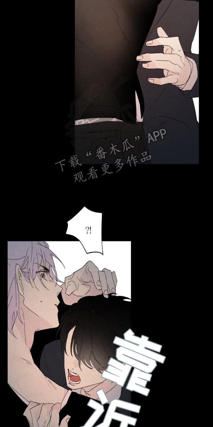 第27章：花木有情：冲动 18