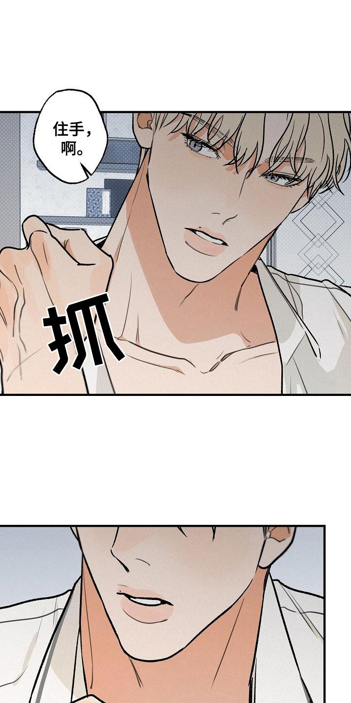 第4章：坏种：我爱你【完】17