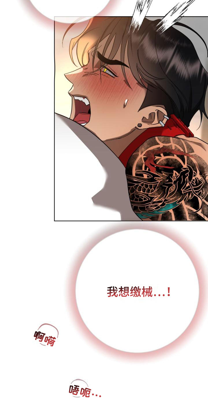 第10章：别惹我：乱来15