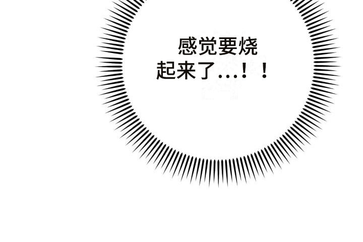第11章：别惹我：烧起来了29