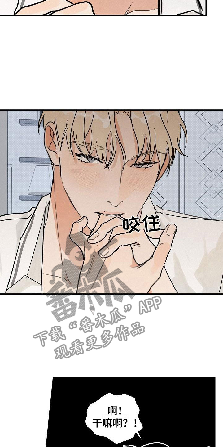 第4章：坏种：我爱你【完】18
