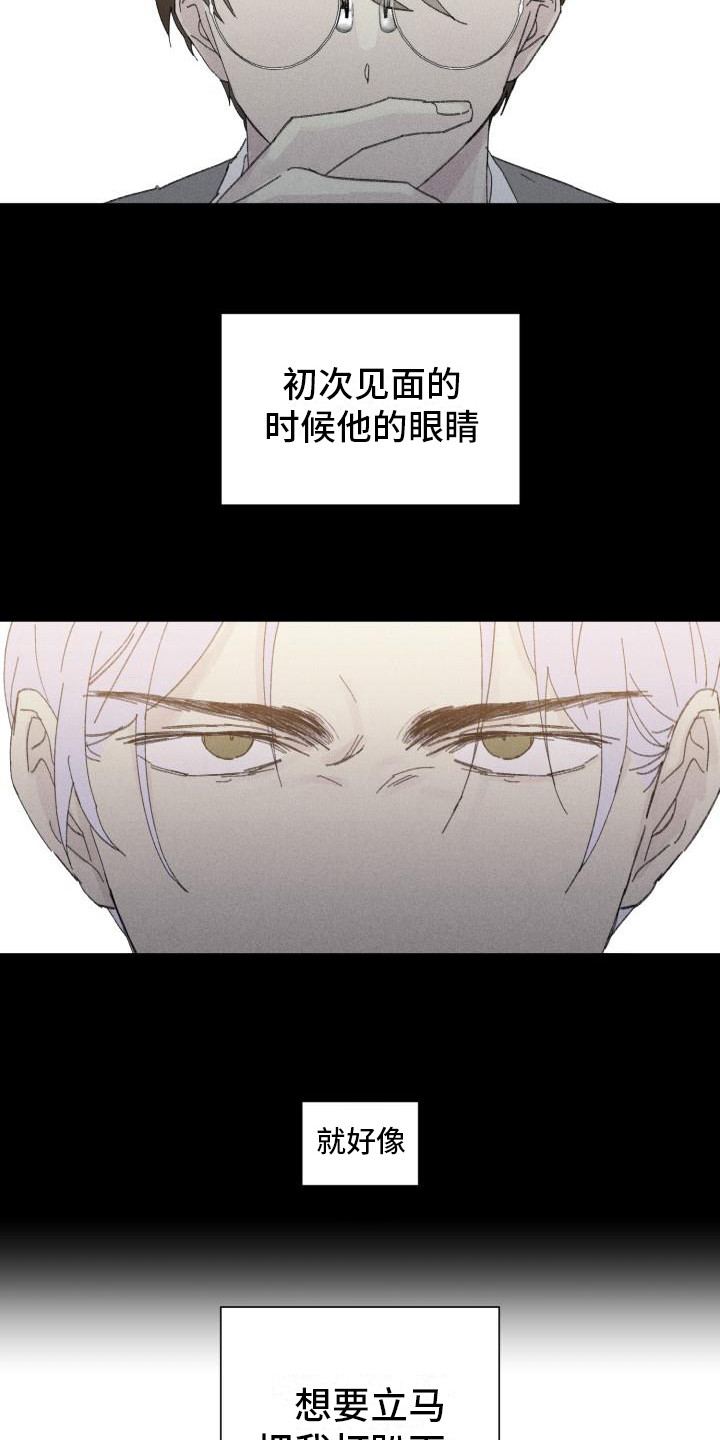 第27章：花木有情：冲动 22