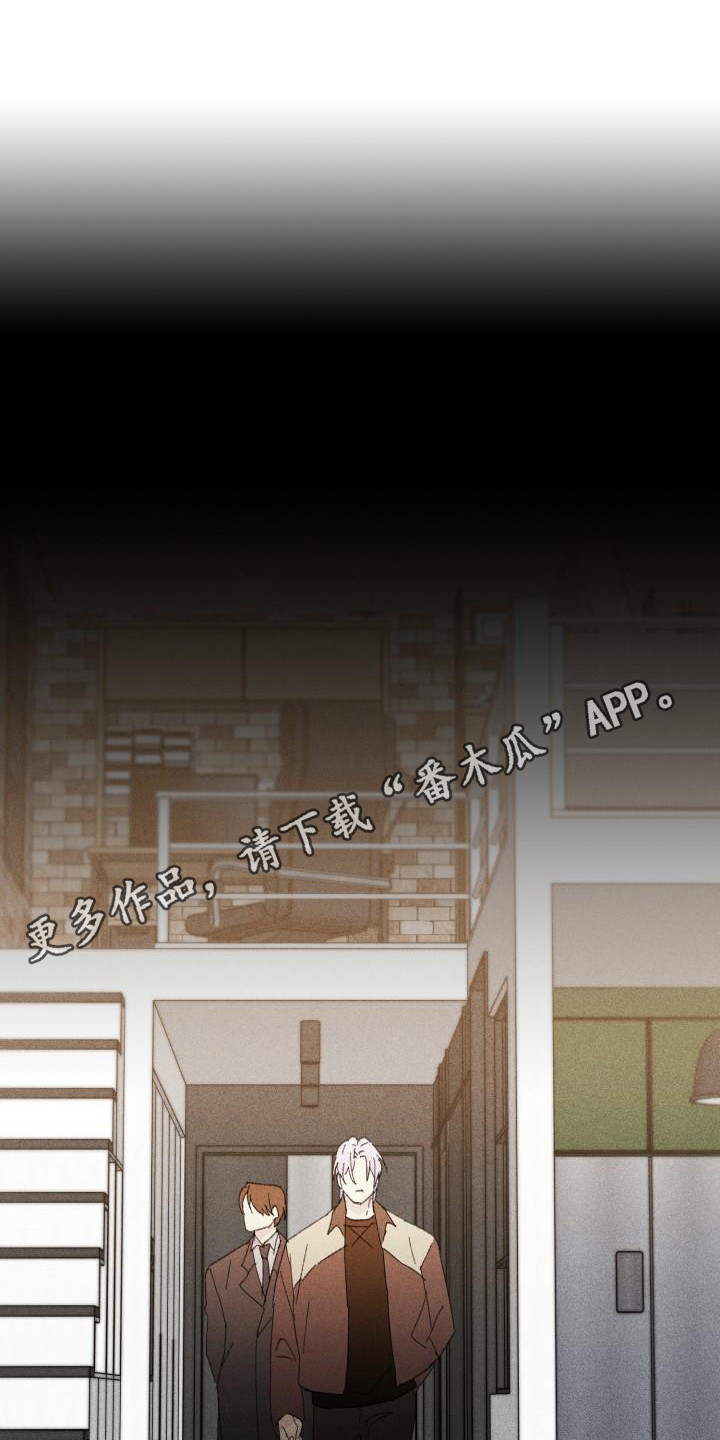 第27章：花木有情：冲动 5