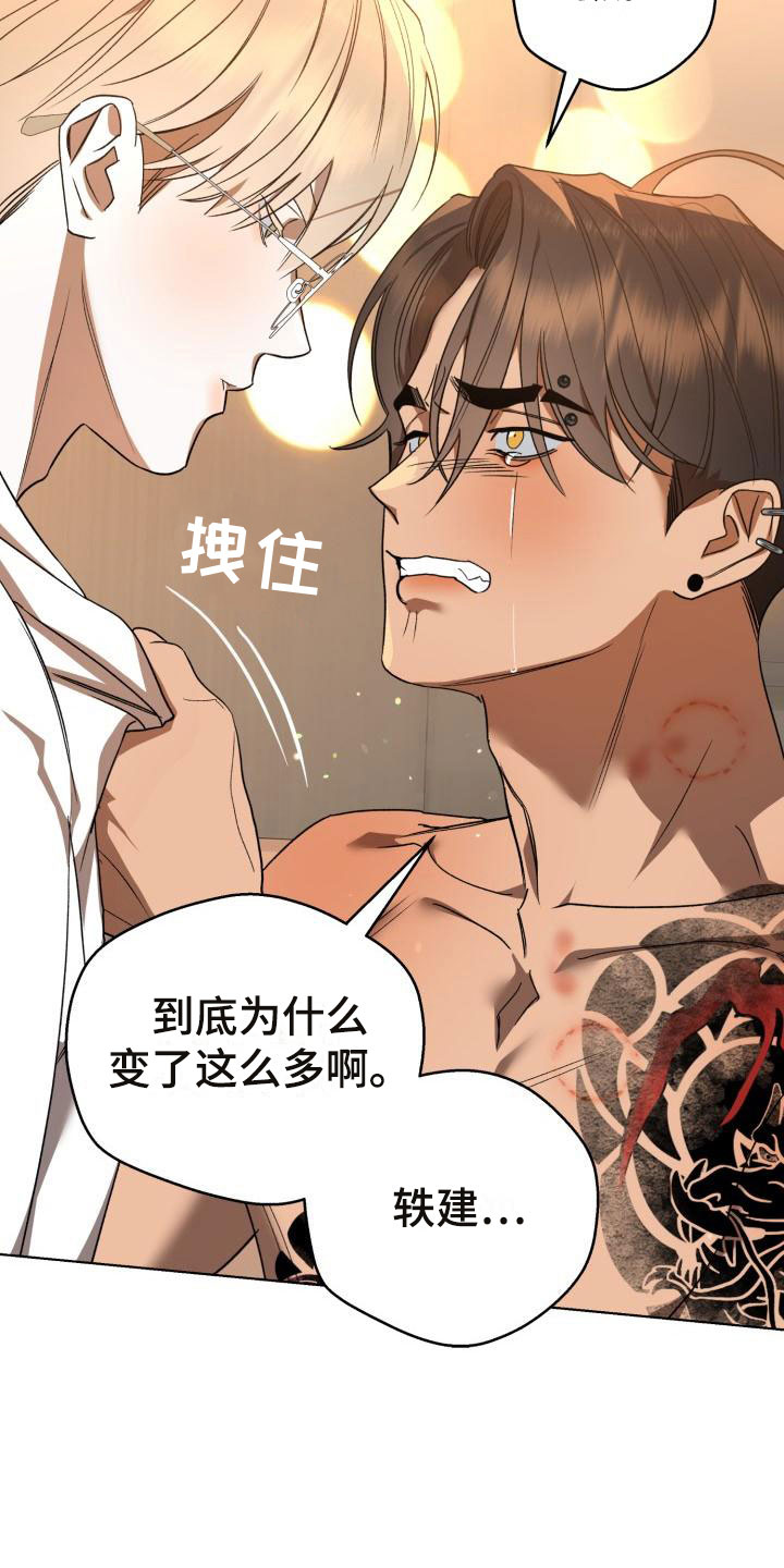 第13章：别惹我：永远在一起【完】11