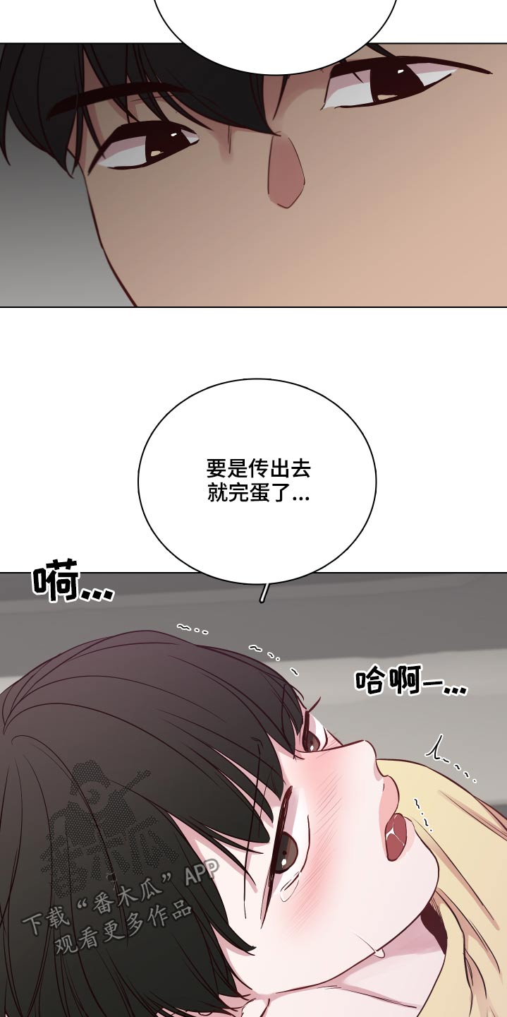 第79章：【第二季】一束花11