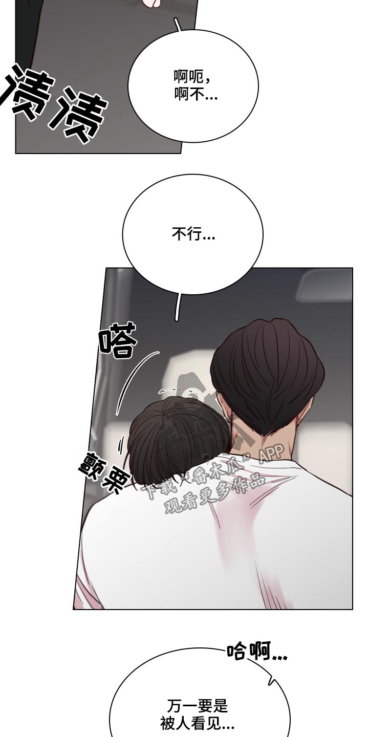第79章：【第二季】一束花10