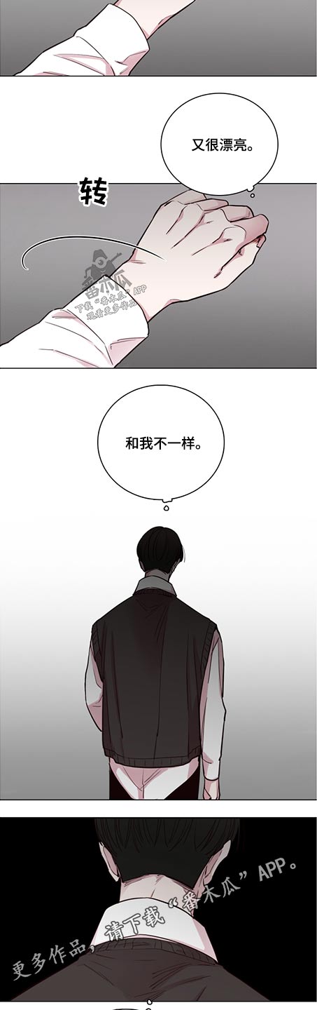 第88章：【第二季】很漂亮12