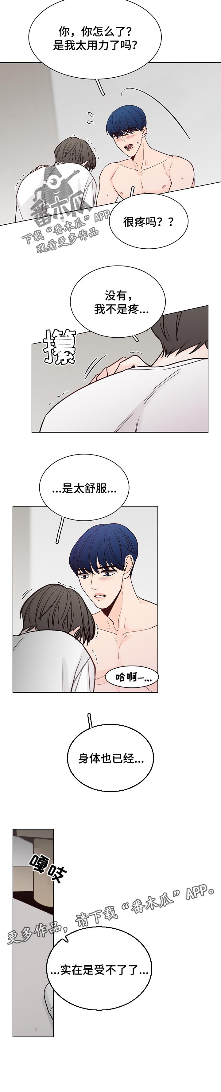 第41章：太喜欢了5