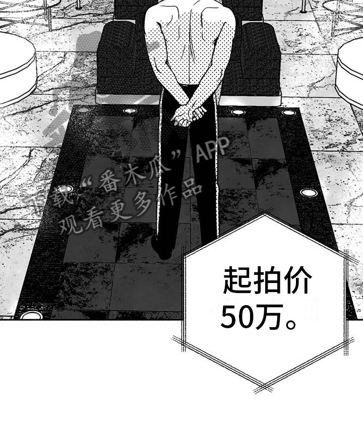 第15章：王牌竞拍27