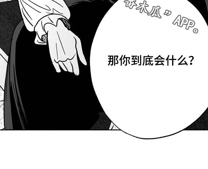 第28章：竞拍20